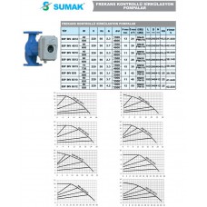 SSP INV 40/12 Frekans Kontrollü Sirkülasyon Pompası